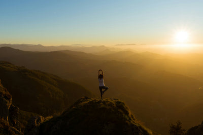 Health & Wellness